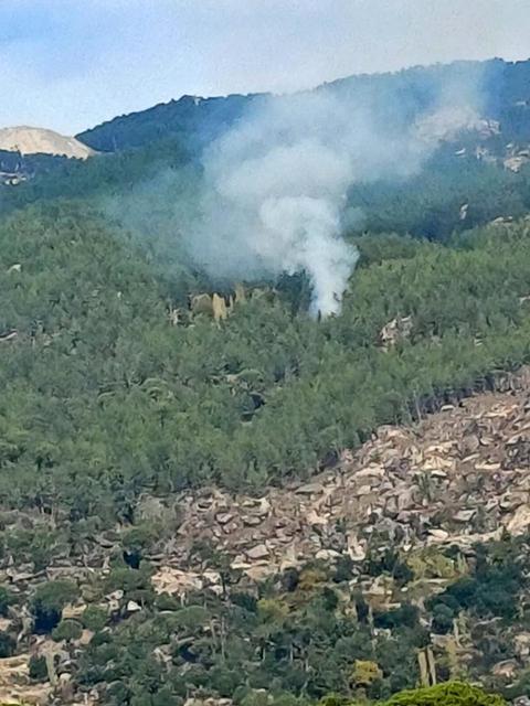 Aydın'ın komşusunda yangın paniği