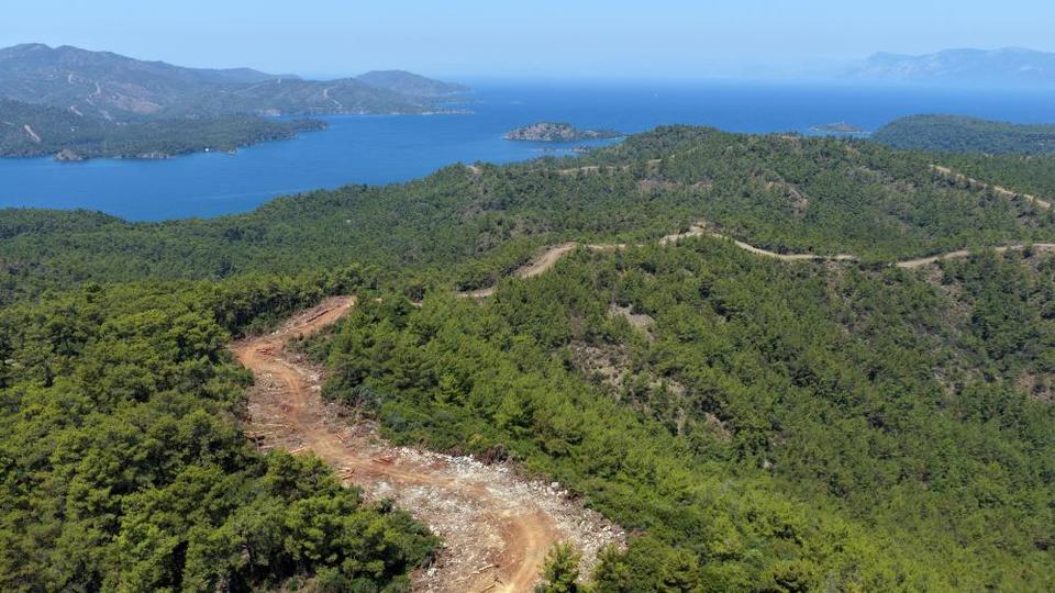 Aydın'da orman yangın şerit yolu uzunluğu 2 bin kilometreye çıkıyor