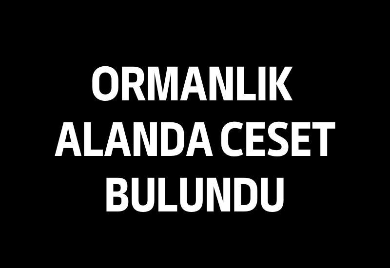 Ormanlık alanda ceset bulundu