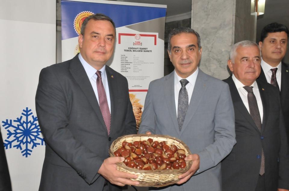 Aydın'da sezonun ilk kestanesi kilosu 550 TL'den alındı