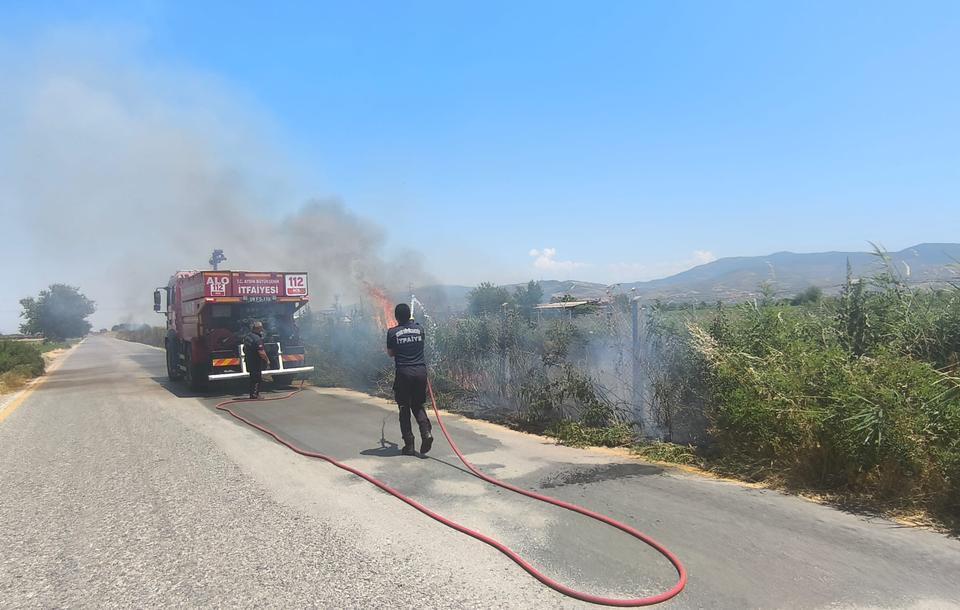 Aydın çıra gibi: Sigara izmariti otluk alanı alevlere teslim etti