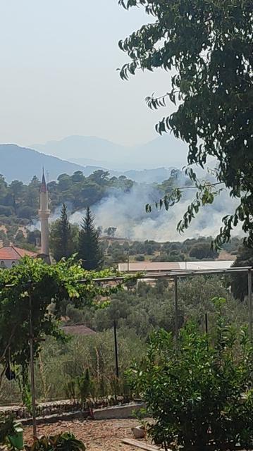 Orman yangını ekiplerin hızlı müdahalesi ile kontrol altına alındı