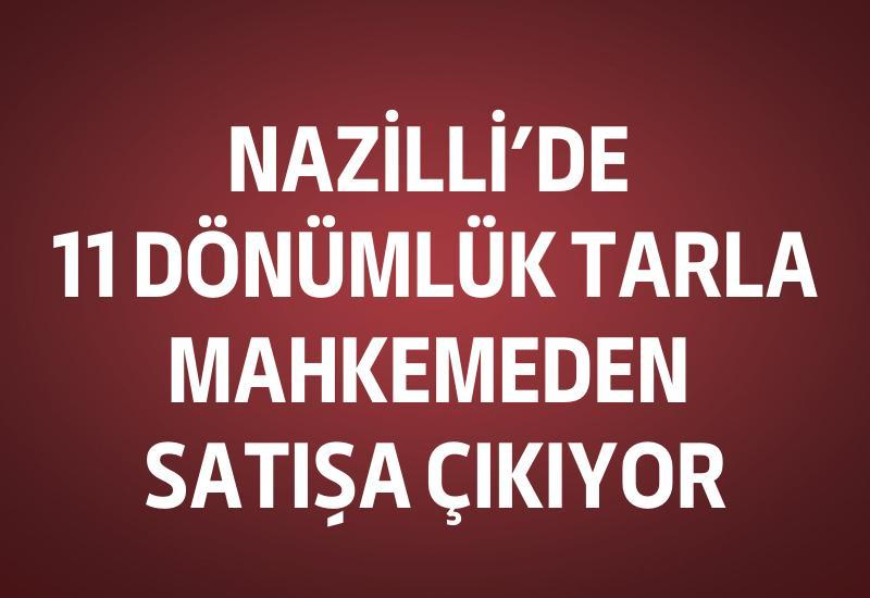 Nazilli'de 11 dönümlük tarla mahkemeden satışa çıkıyor