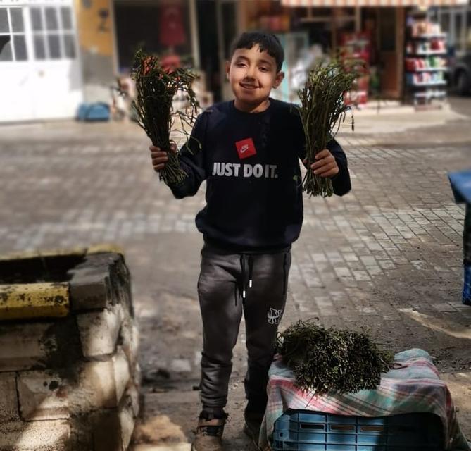 AYDIN'DA KENDİLİĞİNDEN YETİŞEN BU OTLAR GARİBANIN CÜZDANINI ZENGİNİN SOFRALARINI SÜSLÜYOR DAĞLARDAN BEDAVAYA TOPLANIYOR, ŞEHİRDE BAĞI 100 TL'YE KADAR ALICI BULUYOR