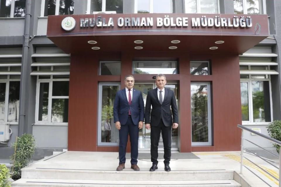 Aydın’da kestane ağaçları biyolojik mücadele ile korunuyor