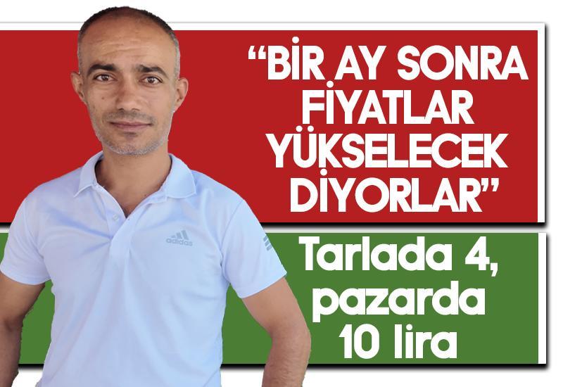 Tarlada 4 lira, pazarda 10 lira