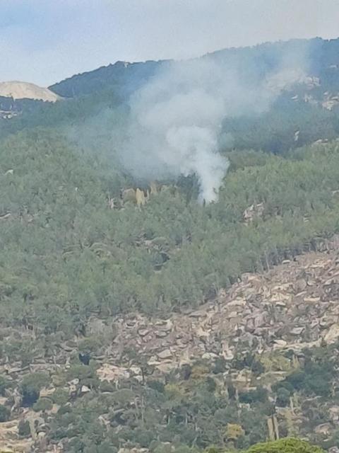 Kavaklıdere'deki orman yangını kontrol altına alındı