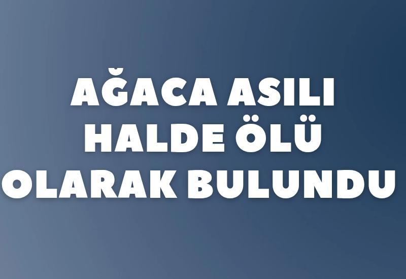 Ağaca asılı halde ölü bulundu