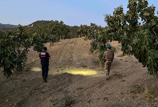 Aydın'da jandarmadan incir nöbeti