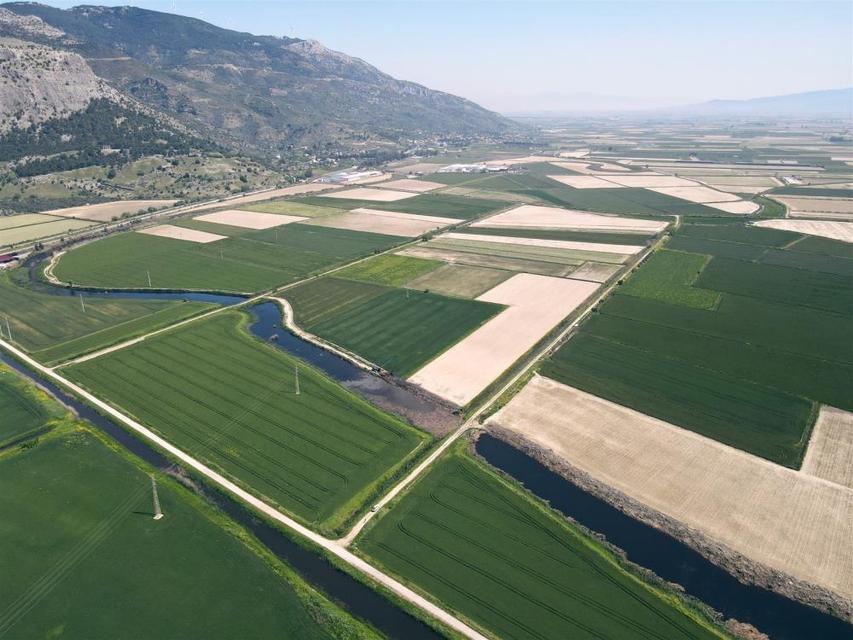 Söke'nin 2026 yılı ürün deseni belli oldu