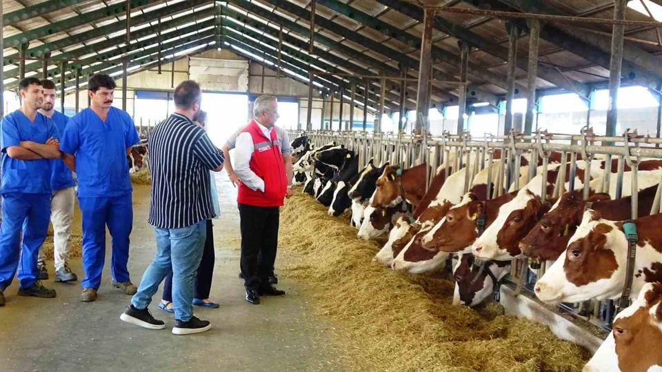 Aydın’da üreticiye büyük yatırım fırsatı