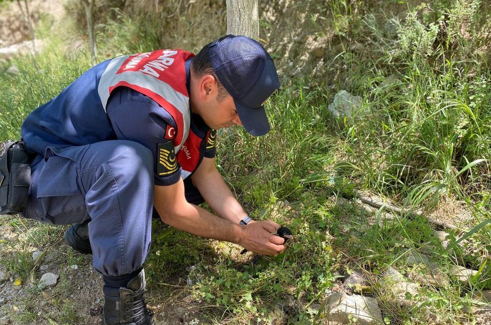 Aydın’da minik karga için seferber oldular