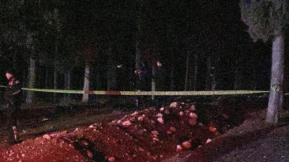 Kayıp adam ormanda ölü bulundu