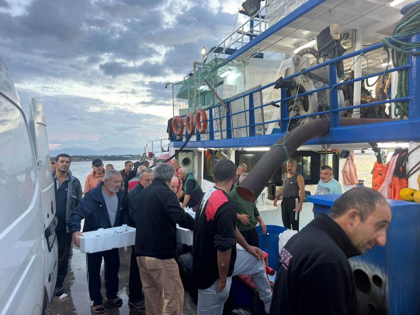 Didim’de hamsi avında sıkı denetim