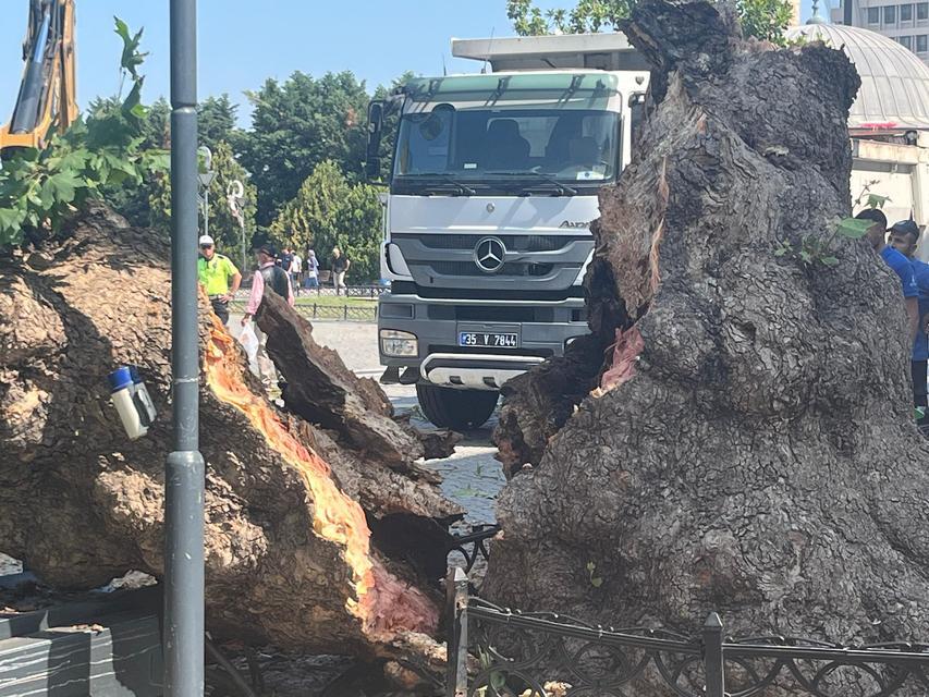 TARİHİ KEMERALTI ÇARŞISI GİRİŞİNDEKİ DEV ÇINAR DEVRİLDİ