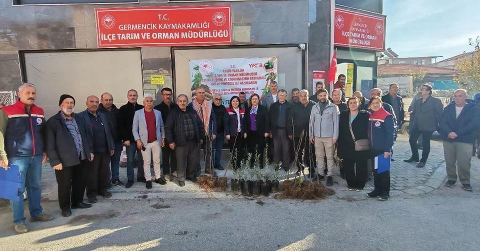 Germencikli üreticilere 4 bin sertifikalı fidan dağıtıldı