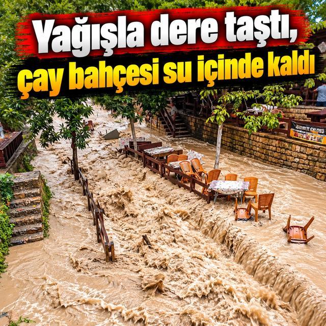 Yağışla dere taştı, çay bahçesi su içinde kaldı