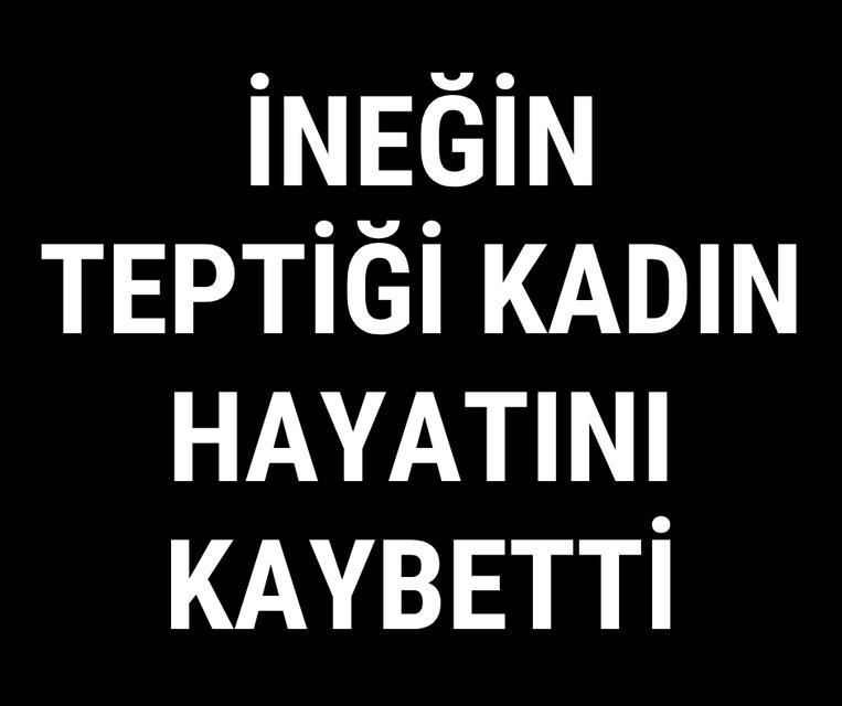 İneğin teptiği kadın hayatını kaybetti