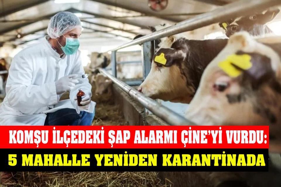 Çine’de 5 mahalle yeniden karantinada