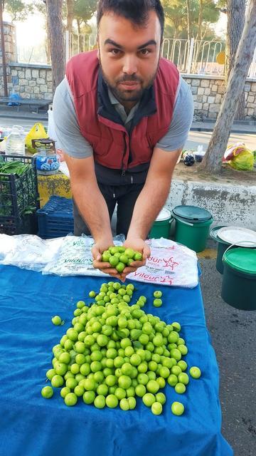 VAZGEÇİLMEZ YAZ MEYVESİ ERİK TEZGAHLARDA YERİNİ ALDI KİLOSU 150 TL'DEN ALICI BULUYOR