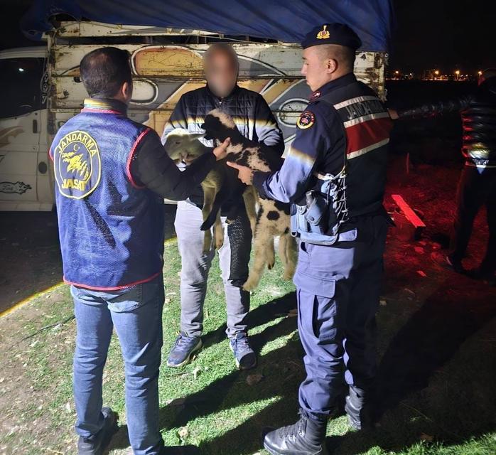 Küçükbaş hayvan çalan 4 kişi yakalandı