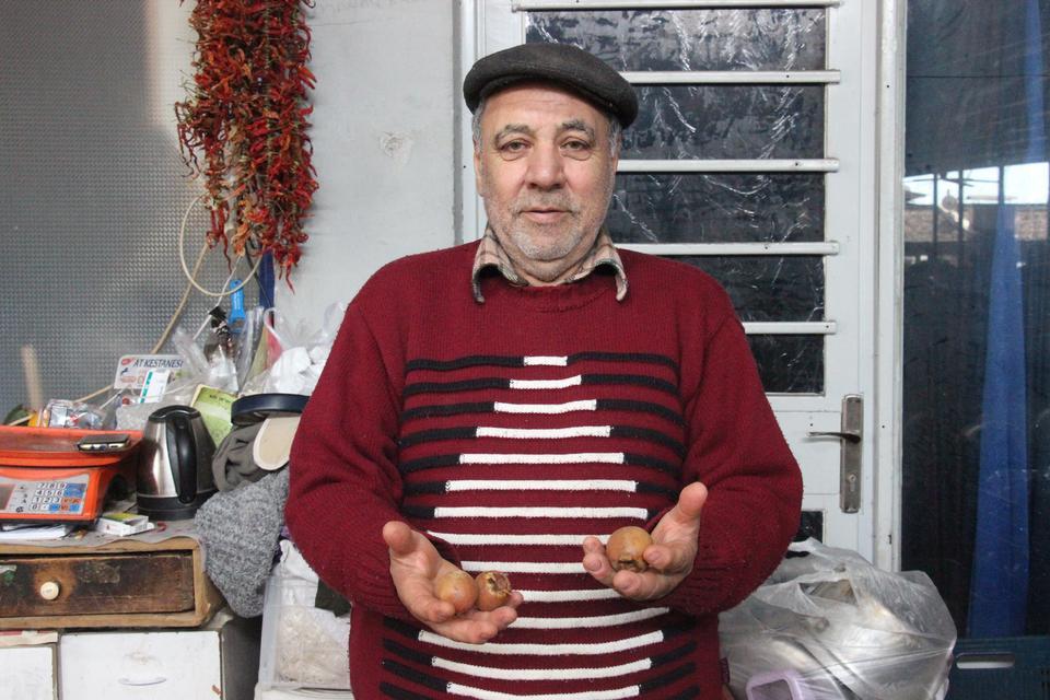 ÇİKOLATA TADINDA ŞİFA KAYNAĞI MUŞMULA VATANDAŞLARDAN İLGİ GÖRÜYOR