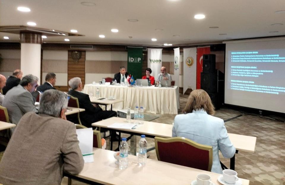 İklime dirençli ormancılıkta Aydın'dan uzman desteği