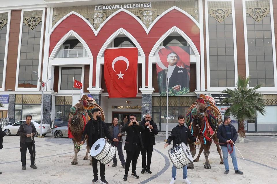 KOÇARLI'DA DEVE GÜREŞİ HAZIRLIKLARI TAMAMLANDI