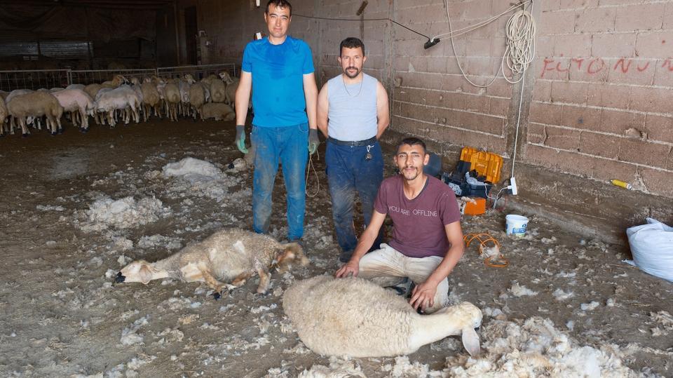 KIRKIMCILARIN YAZ SEZONUNDA GELİRLERİ GENEL MÜDÜR MAAŞINI ARATMIYOR KIRKIMCILAR SEZONUNDA AYLIK 250 BİN LİRA KAZANABİLİYOR