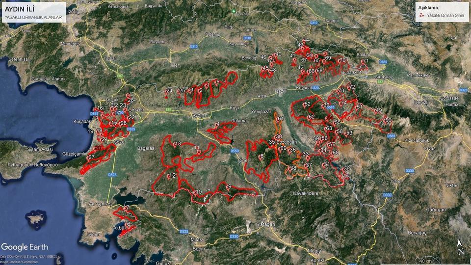 Aydın'da ormanlara girişler 5 ay yasaklandı