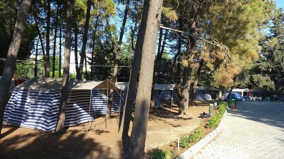 DİDİM'DE ORMAN KAMPI AÇILDI