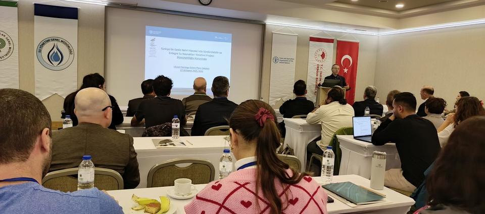 �������������������������������