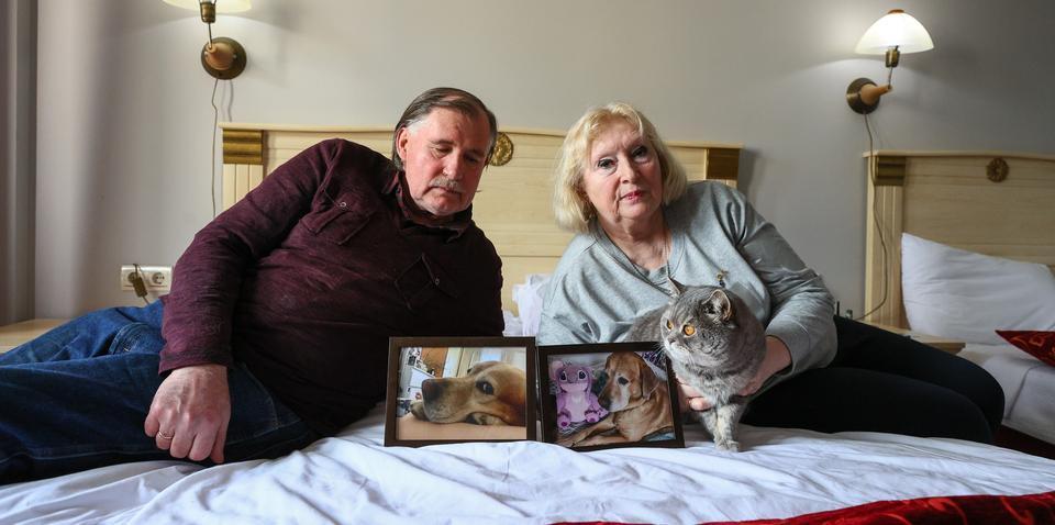 Kedileri "Vasili" ile Ukrayna'dan ayrılan çift Türkiye'ye sığındı