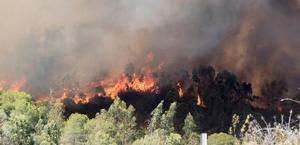 İspanya'nın kuzeydoğusundaki Katalonya bölgesinde son iki yılın en büyük orman yangını yaşandı. Yerel basındaki haberlere göre, Tarragona bölgesindeki Santa Coloma de Queralt'ta çıkan yangında 1657 hektarlık alan kül olurken, bölgedeki yerleşimlerde bulunan 168 kişi yangın tehlikesi nedeniyle tahliye edildi. ( DAVID ARJONA RAMIREZ / EPA - Anadolu Ajansı )