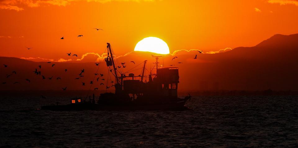 İzmir Körfezi'nde martılar eşliğinde limana yanaşan balıkçı teknesi gün doğumunda güzel görüntü oluşturdu.  ( Mehmet Emin Mengüarslan - Anadolu Ajansı )