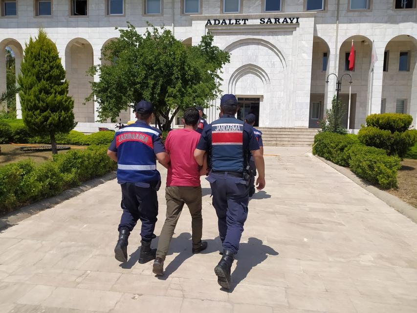 Muğla'da büyükbaş hayvan hırsızlığı iddiasıyla 3 şüpheli tutuklandı