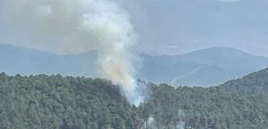 İzmir'in Kemalpaşa ilçesinde orman yangını çıktı