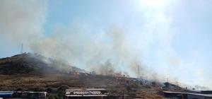 İzmir'de ağaçlandırma sahasındaki yangına müdahale ediliyor