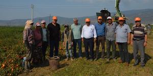 AK Parti Aydın Milletvekili Rıza Posacı, Çine’de domates üretiminin makineli hasadı yapılan arazide incelemede bulundu. Domates üreticisi Mehmet Gönezer (57), “Çiftçiler olarak teknolojiyi takip ediyoruz ve bu sayede üretici artık para kazanıyor” dedi.